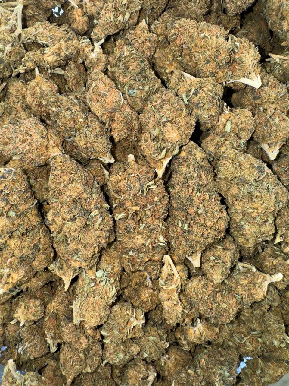 Biscotti Lows 🍪🥠🔻🔻