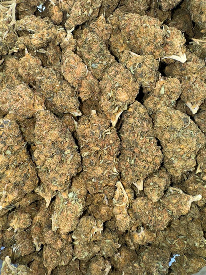 Biscotti Lows 🍪🥠🔻🔻