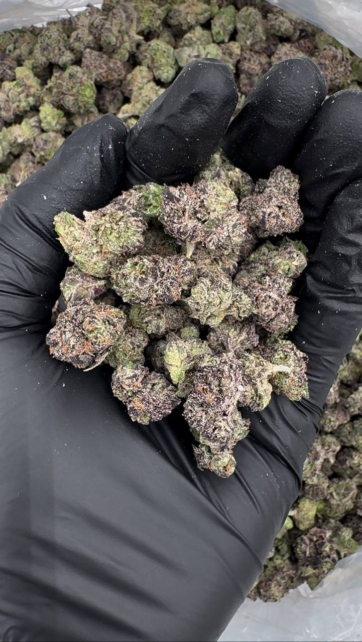 Sour Lime Candy (Organic Mediums)🍋🍭🍬