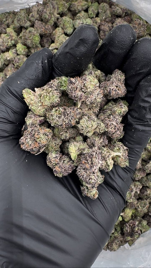 Sour Lime Candy (Organic Mediums)🍋🍭🍬