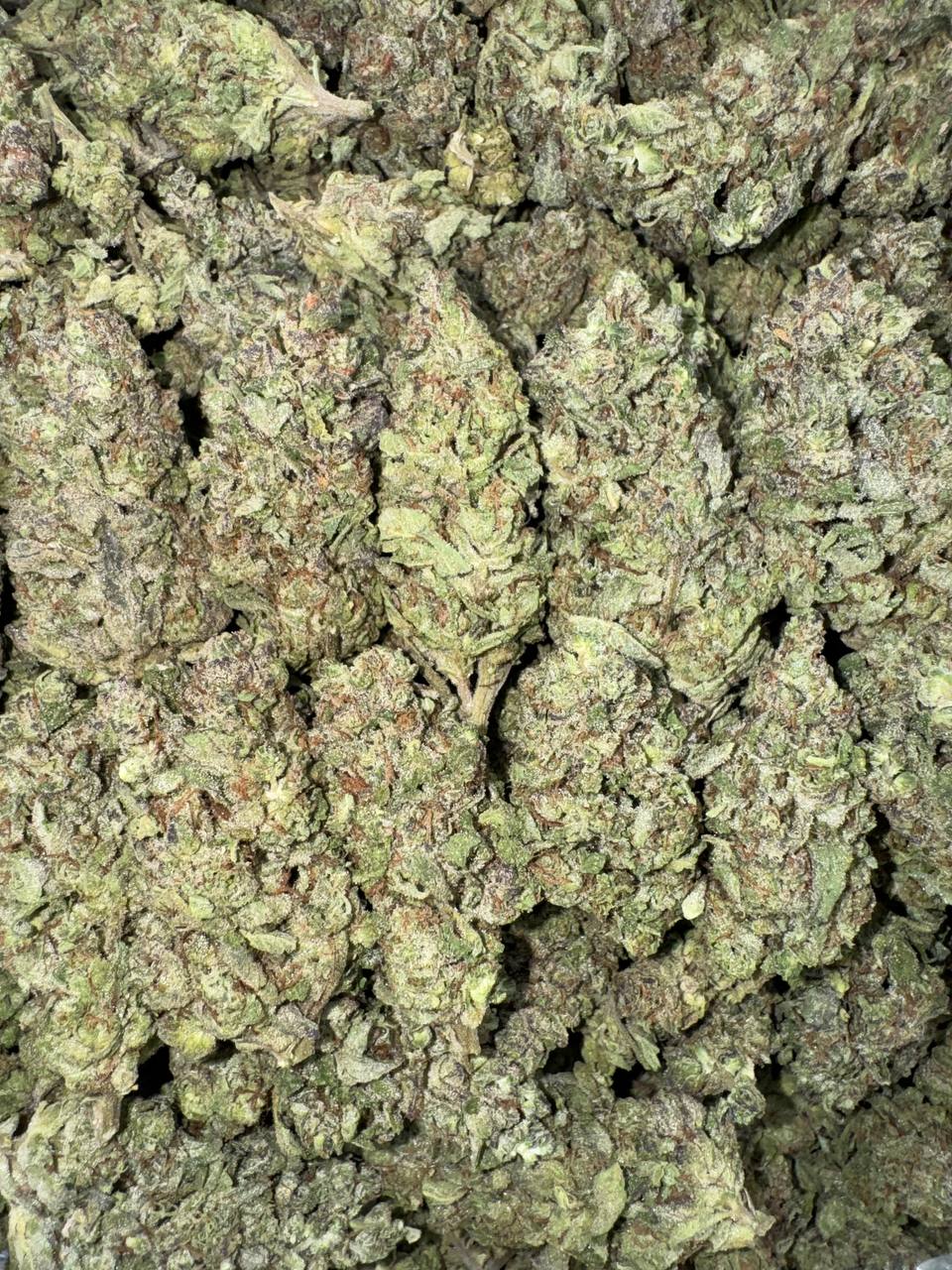 Sweet Mint 🐝🍯🍵