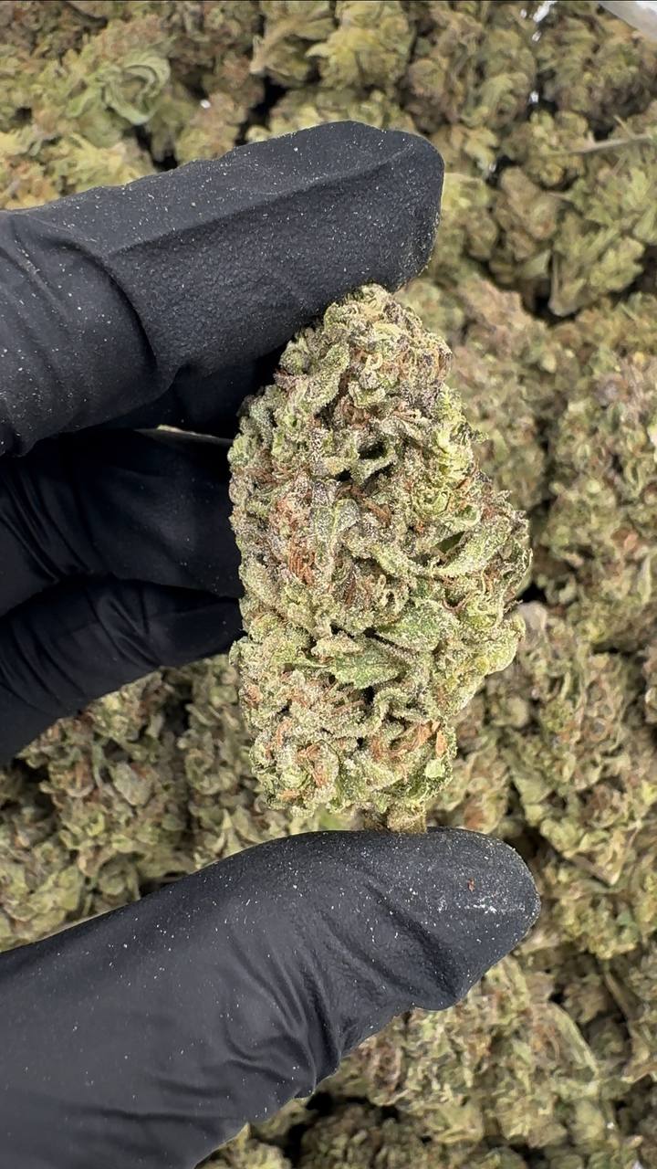 Mojito Blast 🌿🧊🥶