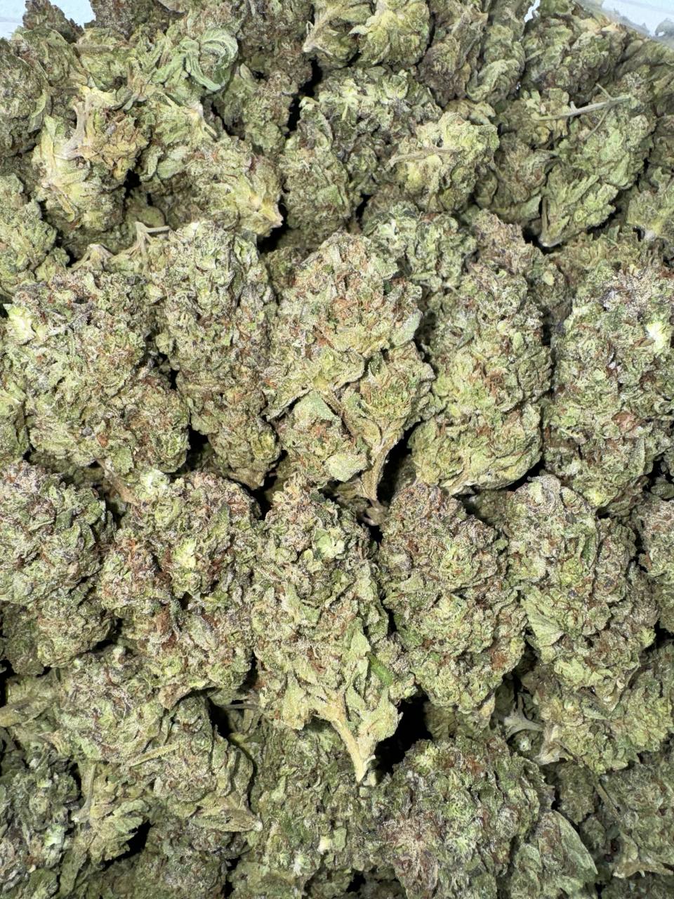 Mojito Blast 🌿🧊🥶