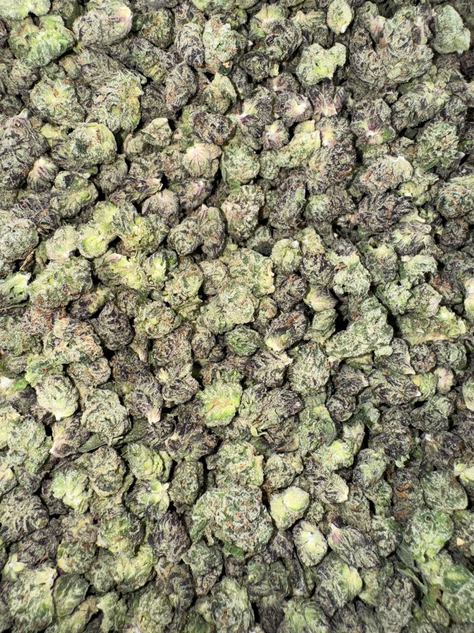 Orange Soda Smalls (Organic)  🍊🥤😎