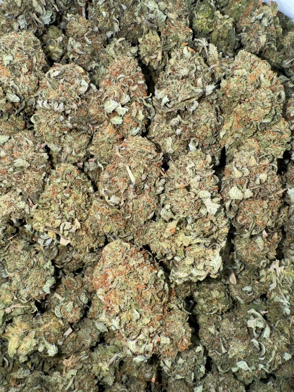 Platinum Bubba 🪙🌲🌳