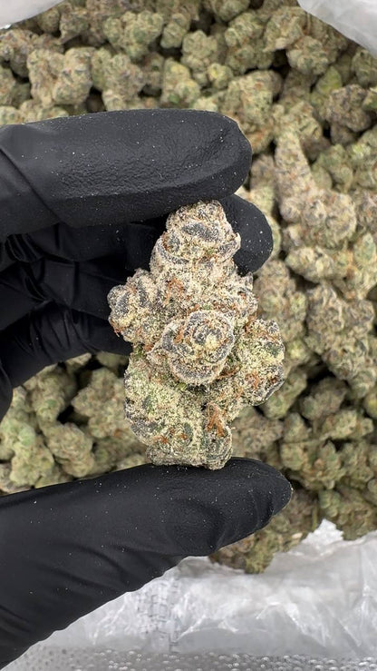 Pineapple Euphoria (Organic)🍍💓🪽