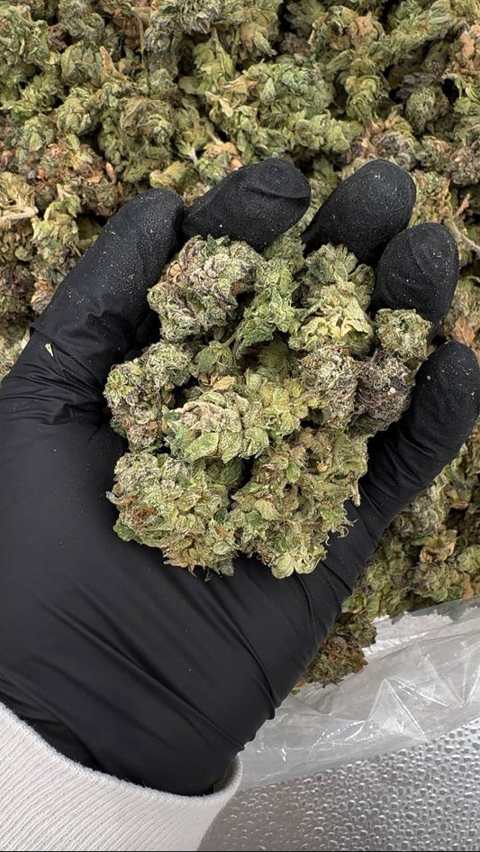Pineapple Dolato🍍🧊🍧