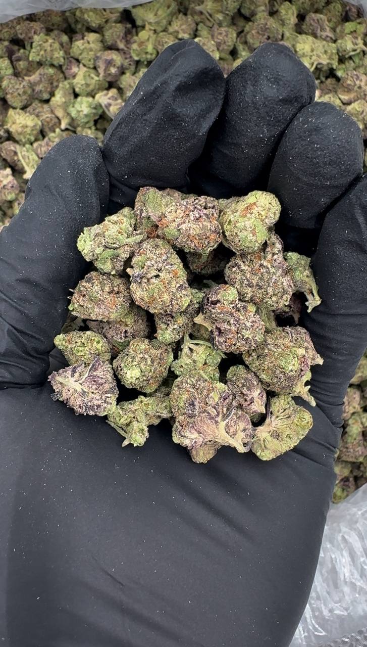 Pink Marshmallow Smalls (Organic)💞🍡🍯