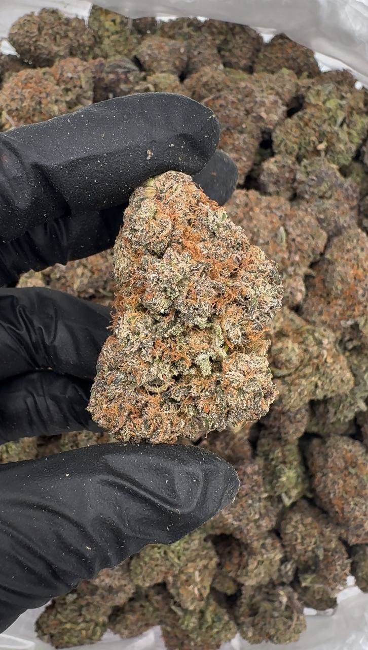 Sugar Pop 🍭🍯🥤