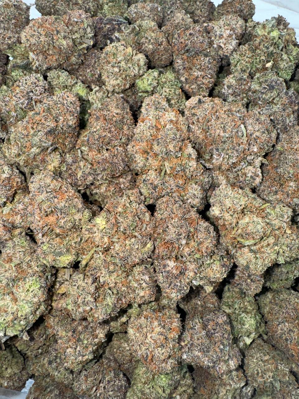 Sugar Pop 🍭🍯🥤
