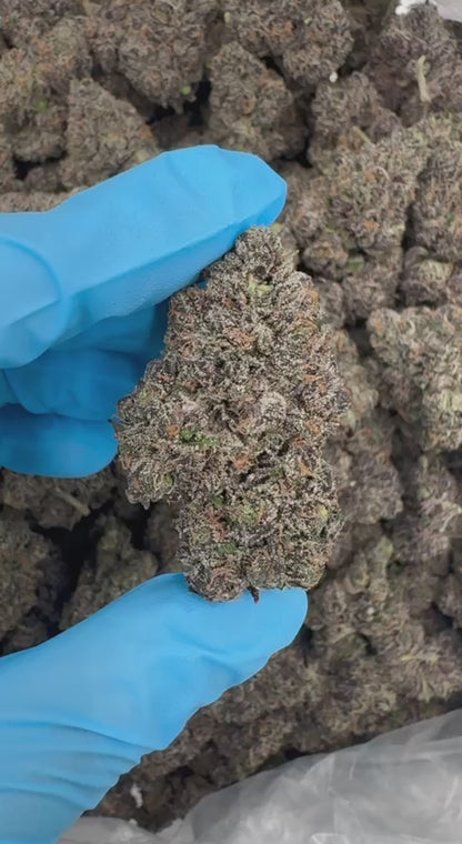 Vanilla Dream (Organic) 🍦🍨💤