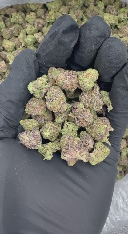 Pink Marshmallow Smalls (Organic)💞🍡🍯