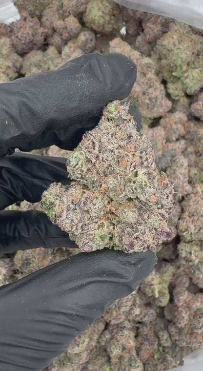 Black Sherbet (Organic)🖤❄️🍧