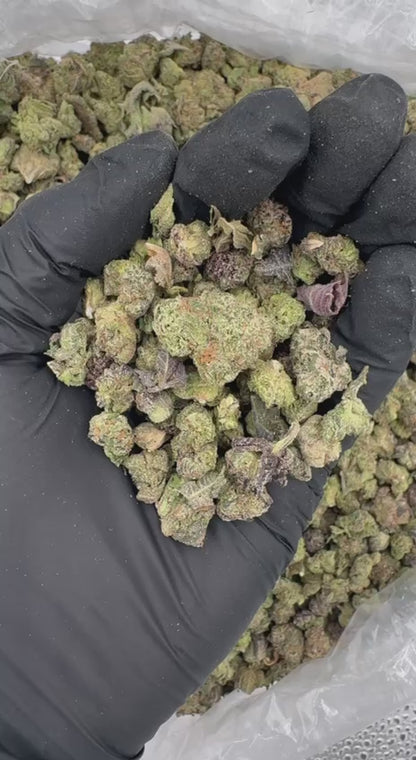 Grape Ape Smalls 🍇🦍🍭