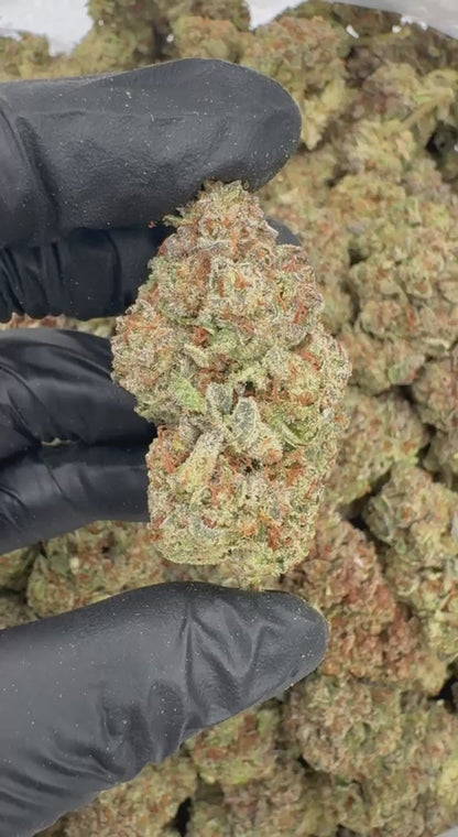 Gas Rush ⛽️🍭🌊
