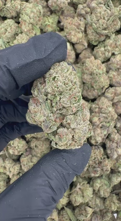 Candy Gas 🍭⛽️🔥