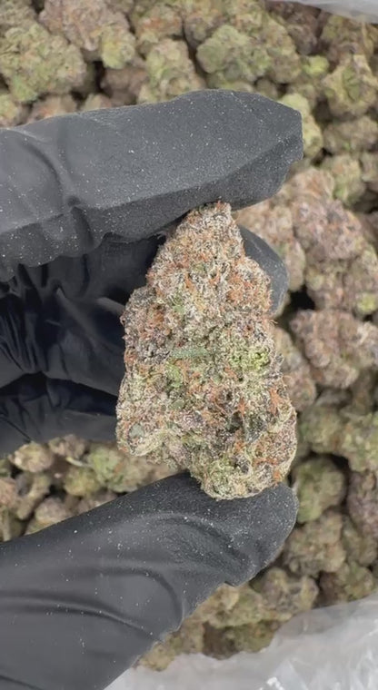 Citrus Kool-Aid 🍋🍊🥤
