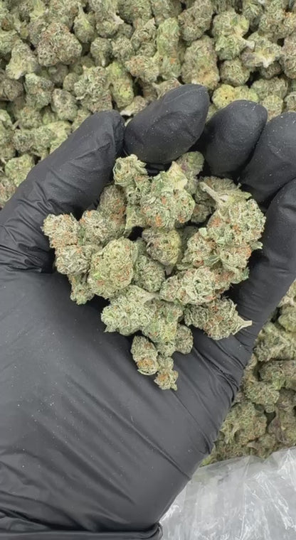 Frozen Grapefruit (Mediums)🥶❄️🍧