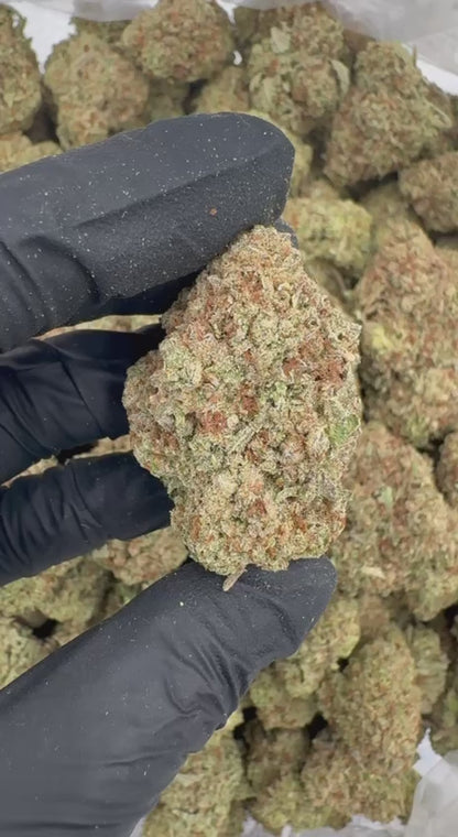 Neapolitan 🤍❤️🤎🍦