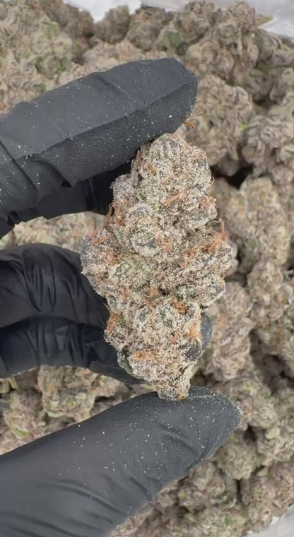 Jealousy Runtz (Organic)🥰🍇💎