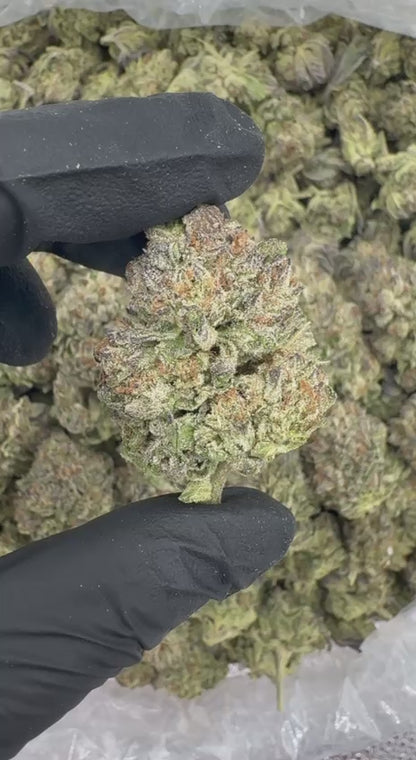 Frosted Flakes ❄️🥣🍩
