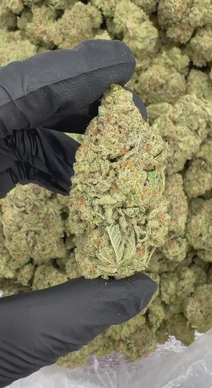 Sugar Cookies ✨🍪🍪