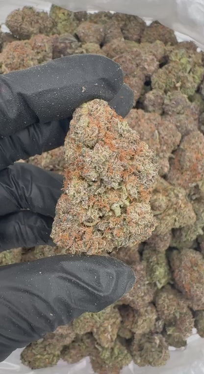 Sugar Pop 🍭🍯🥤