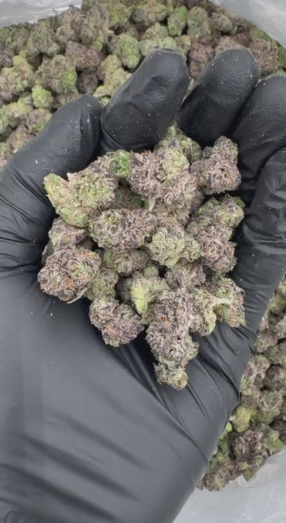 Sour Lime Candy (Organic Mediums)🍋🍭🍬