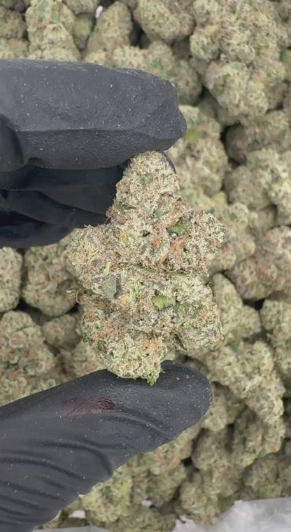 Blue Banger (Organic)🏝🌺🥊