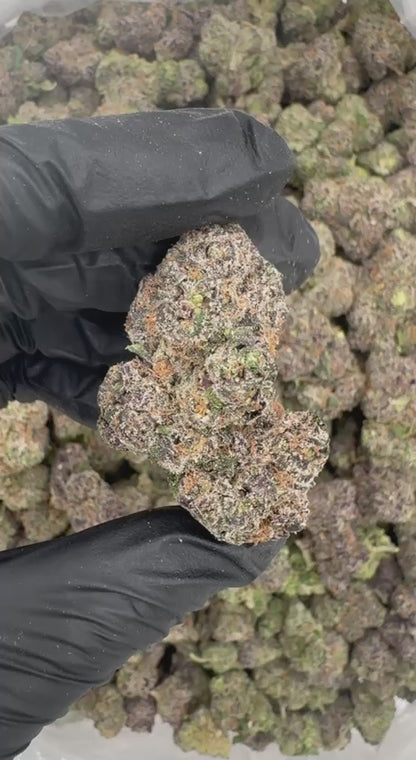 ADL 🍒🫐⛽️