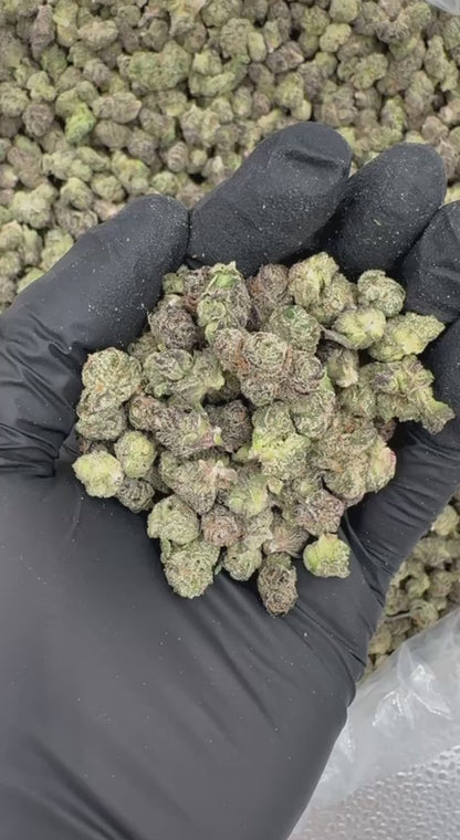 Orange Soda Smalls (Organic)  🍊🥤😎