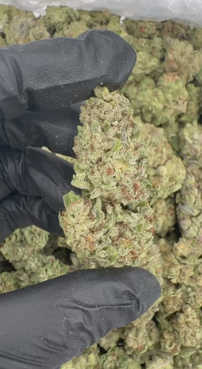 Cookies N Cream 🍪🥛🍼