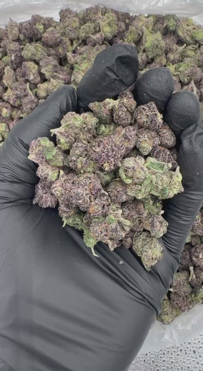 Jealousy Skittlez (Organic Mediums & Smalls)🍇🪻🍬