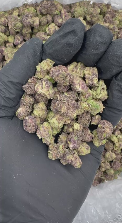 Tropical Sunset Smalls (Organic)🌺🌞🌅