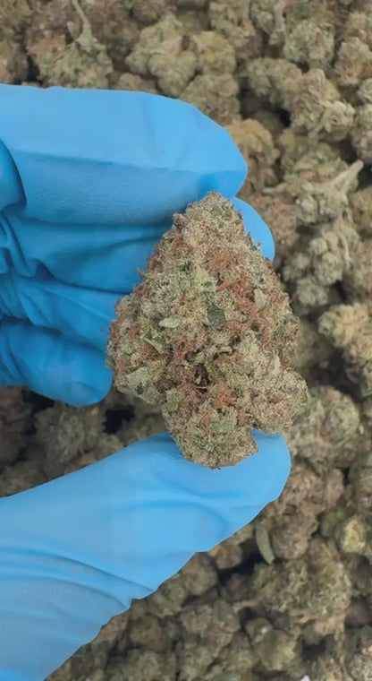 Citrus Sundae 🍊🍋🍨