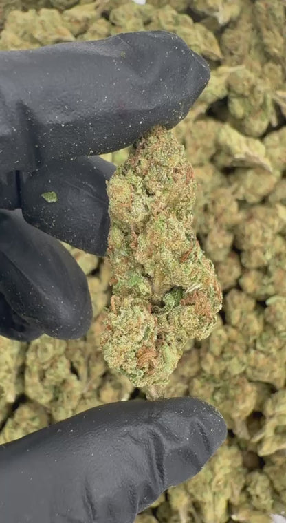 G33 🍨🍭🍬