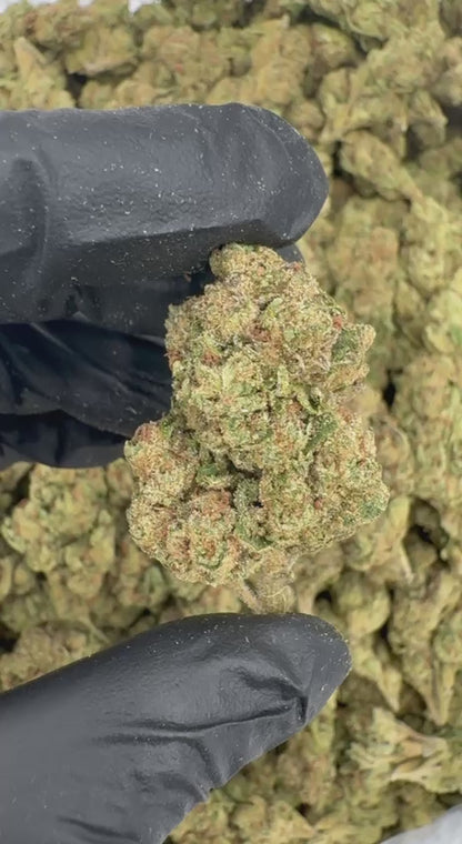 Citrus Pop 🍊💥🔥