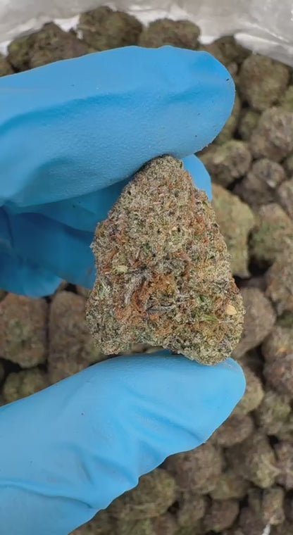 Lemon Sucker 🍋🍭😋