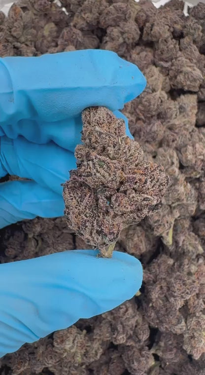 Grape Escape (Organic) 🍇🪜🏰