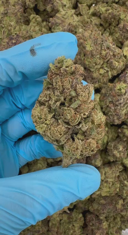 Grape Stomper 🍇🦶🐾