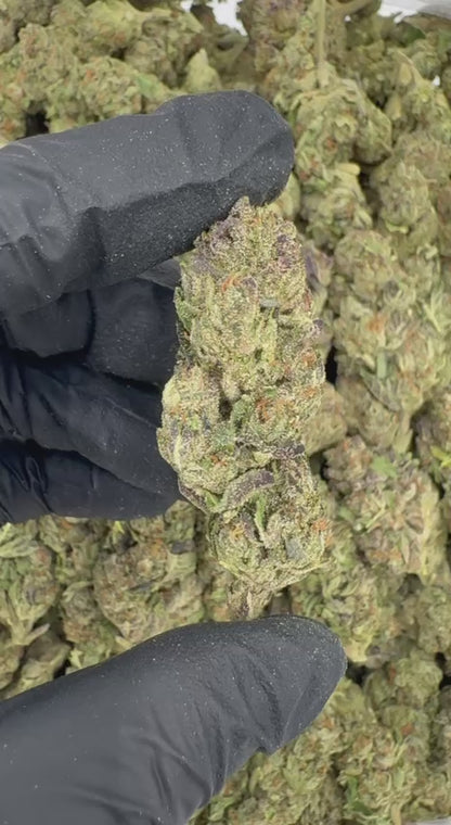 Double Runtz 🍇🍇💫