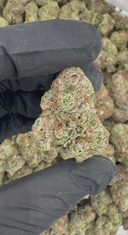 Rainbow Zkittlez 🌈🏳️‍🌈🍬