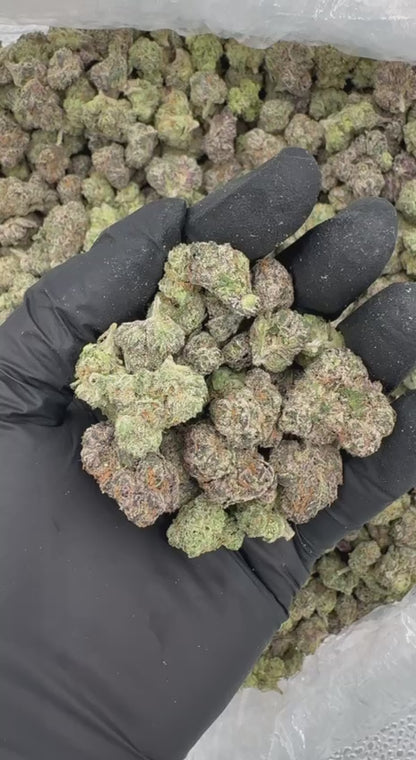 Busta Lime (Organic Mediums)🥊💥🍋