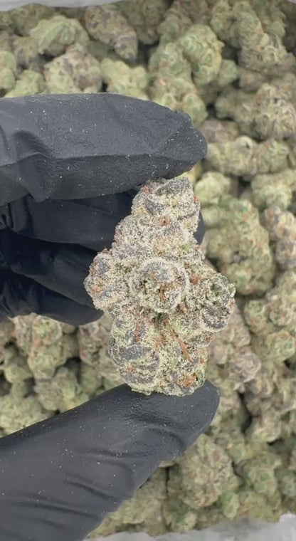 Twisted Citrus (Organic)🌪️🍊🍋