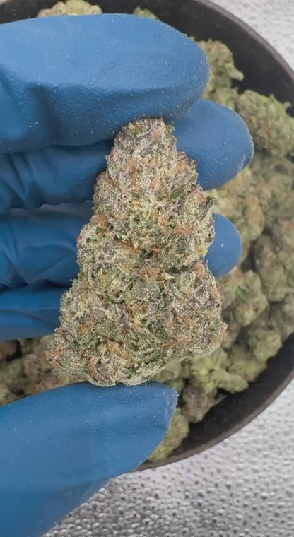 Lemon Cherry Gelato 🍋🍒🍨