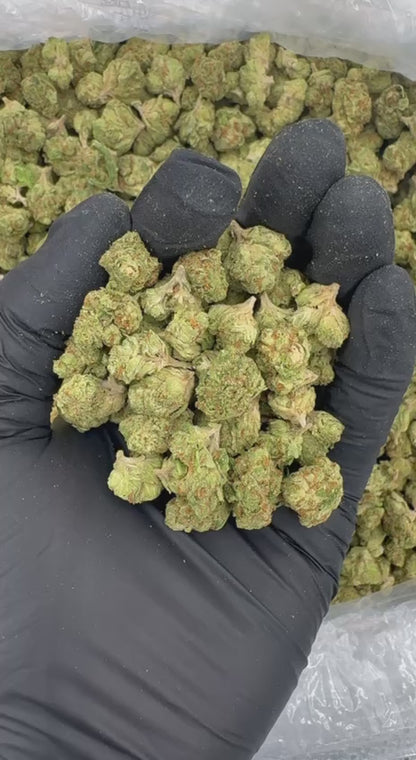 ⚜️Cali Exclusive Candy Infused ⚜️  Sprite Berry Blast flavor 🫐🍋🥤 **Lemonberry Smalls**