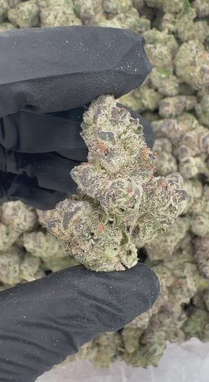Black Gummies (Organic)🖤🍭🧸