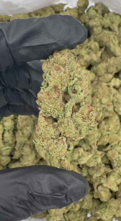 Lemon Cherry Gelato 🍋🍒🍨