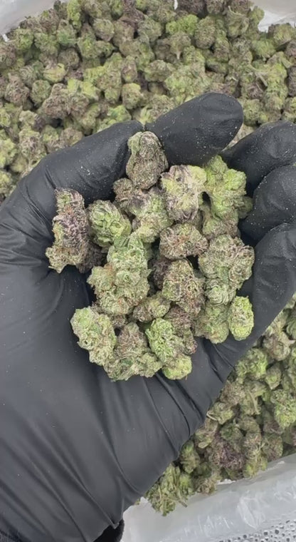 Kiwi Melon (Organic Medium/ Smalls) 🥝🍉🍈