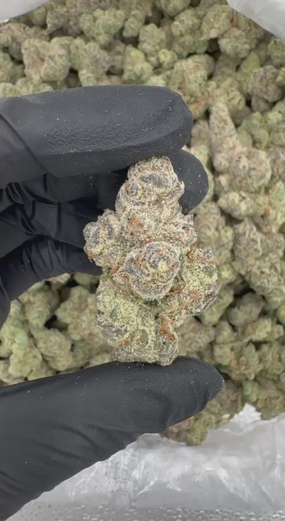 Pineapple Euphoria (Organic)🍍💓🪽